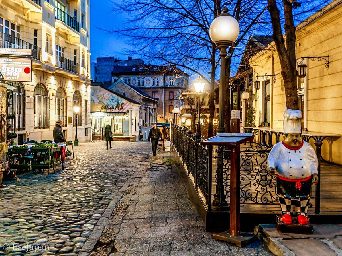 Cosmopolitan Apartment Belgrad Dış mekan fotoğraf